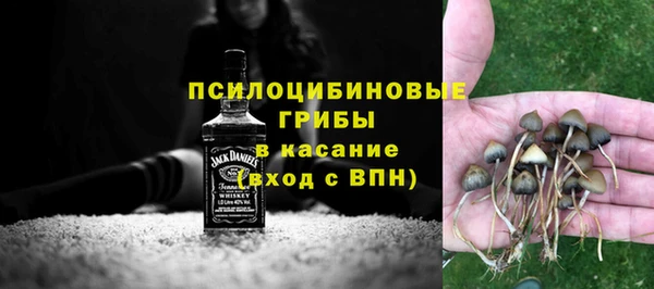 крисы Абаза
