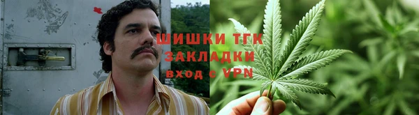 прущие грибы Алексин