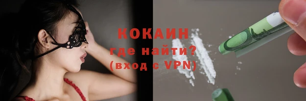 крисы Абаза