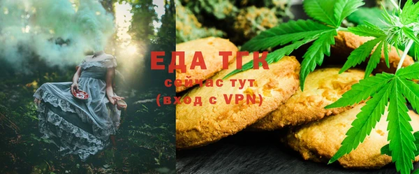 крисы Абаза