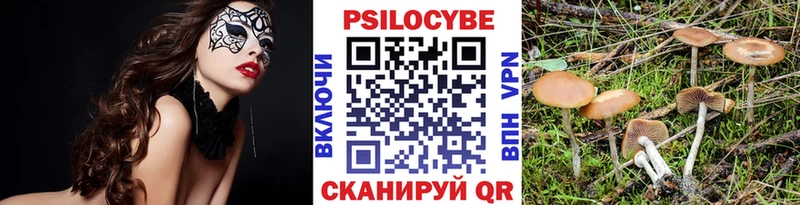 Галлюциногенные грибы Psilocybine cubensis  Касимов 