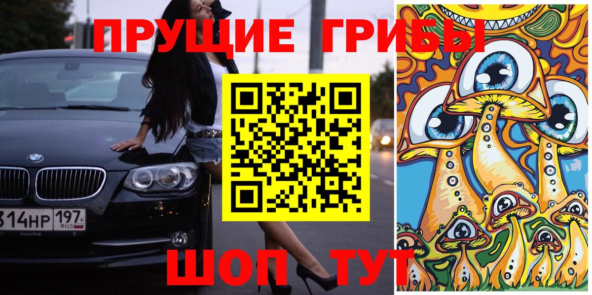 Касимов  Псилоцибиновые грибы MAGIC MUSHROOMS  закладки  Вход с VPN 